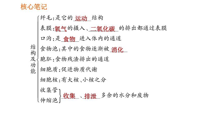 人教版七年级上册生物课件 第二单元 2.2.4 单细胞生物07