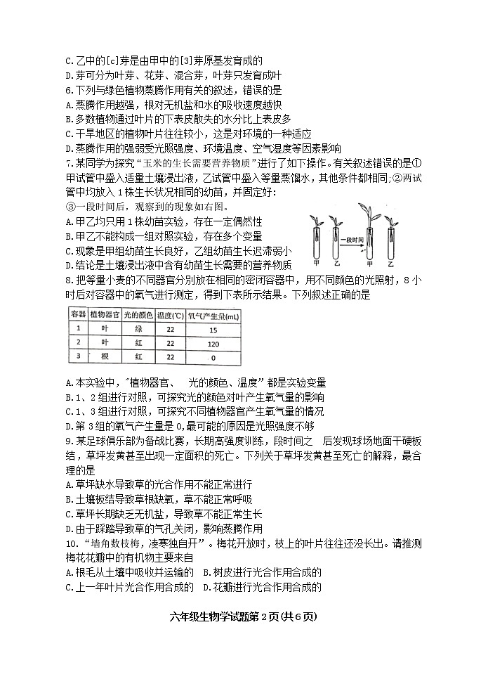 山东省泰安市肥城市2020-2021学年六年级下学期期末教学质量监测生物试题(word版,含答案)第2页