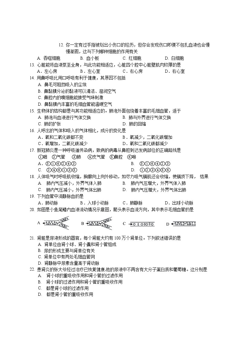 湖南省邵阳市隆回县2020-2021学年七年级下学期期末考试生物试题(word版 含答案)第2页