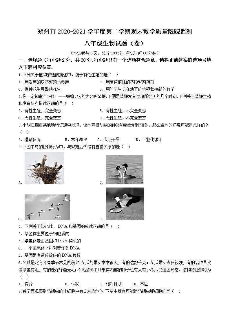 山西省朔州市2020-2021学年八年级下学期期末生物试题(word版 含答案)01