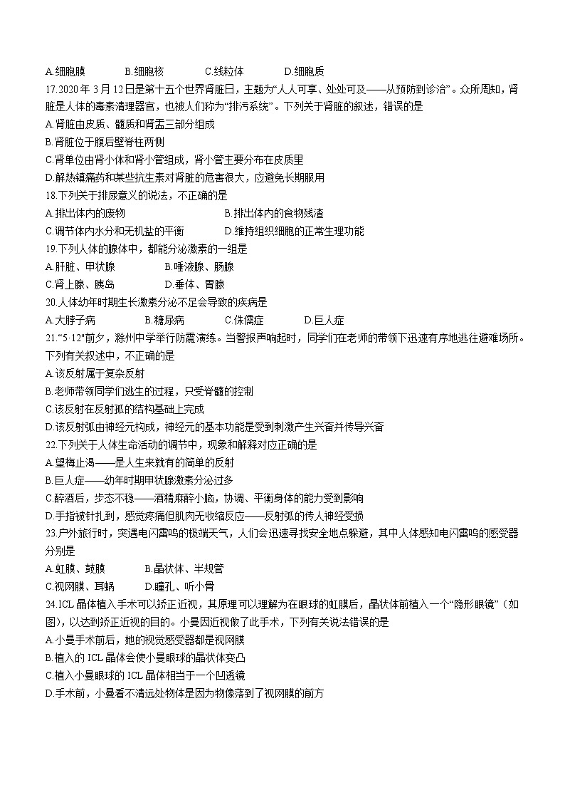 安徽省滁州市琅琊区2020-2021学年七年级下学期期末生物试题(word版 含答案)第3页