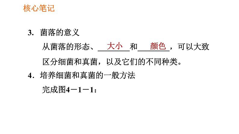 人教版八年级上册生物第5单元 第4章 习题课件03