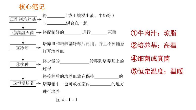 人教版八年级上册生物第5单元 第4章 习题课件04