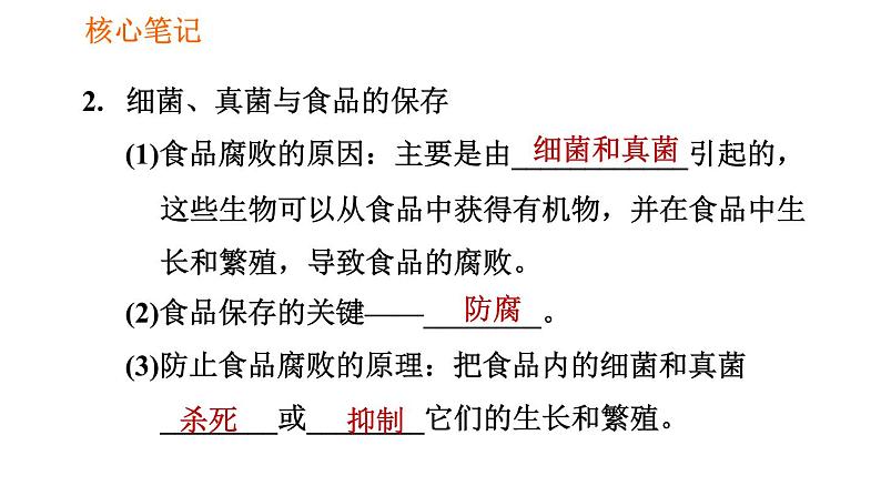 人教版八年级上册生物习题课件第5单元 第4章 4.5 人类对细菌和真菌的利用第3页