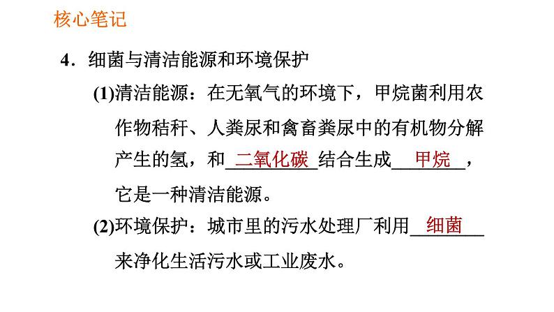 人教版八年级上册生物习题课件第5单元 第4章 4.5 人类对细菌和真菌的利用第7页