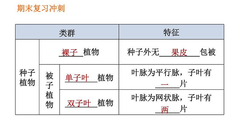 人教版八年级上册生物习题课件 期末复习冲刺 第六单元第4页