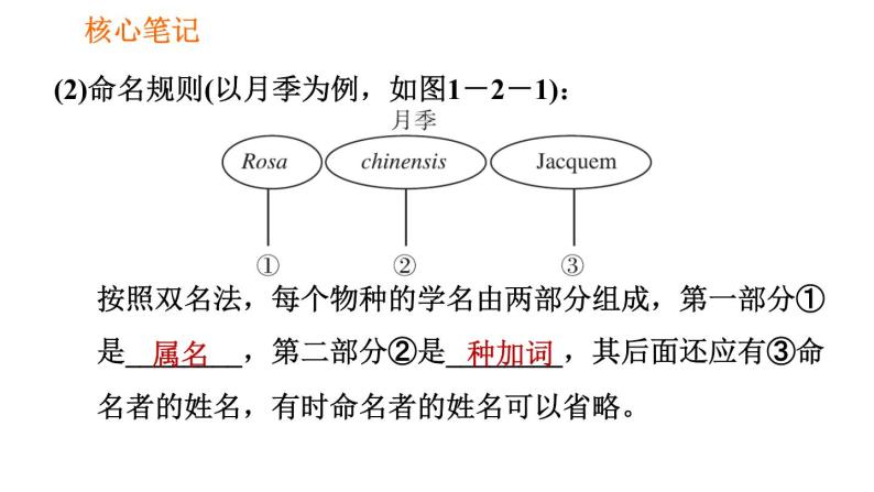 人教版八年级上册生物 第6单元 第1章 习题课件006