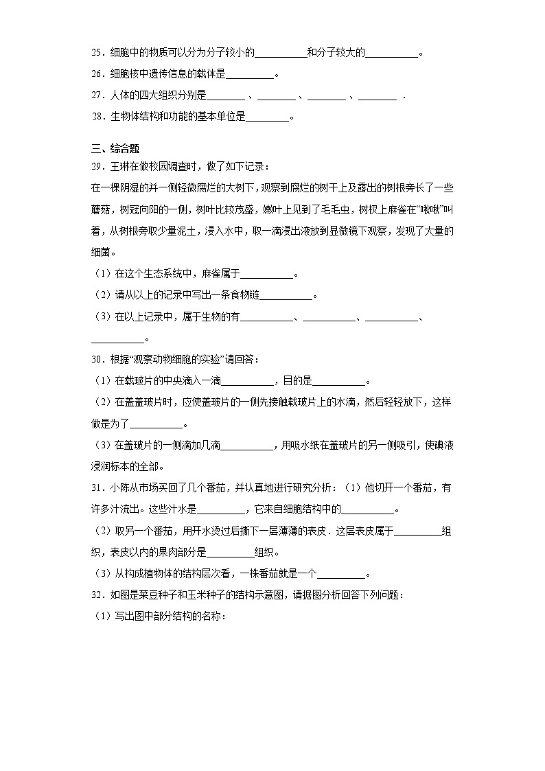 吉林省通化市集安市2020-2021学年七年级上学期期末生物试题(word版 含答案)第3页