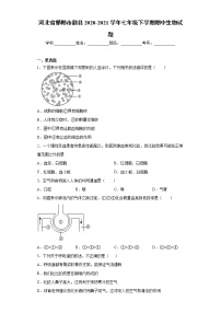 河北省邯郸市魏县2020-2021学年七年级下学期期中生物试题（word版 含答案）