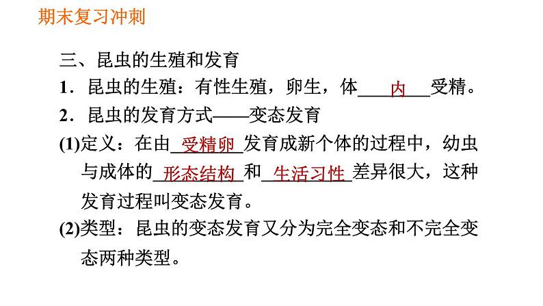 人教版八年级下册生物习题课件 期末复习冲刺 第七单元 第一章 生物的生殖和发育08