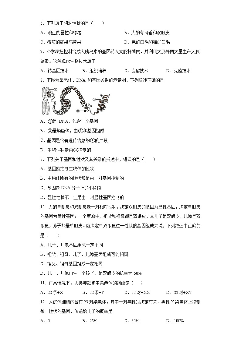河北省保定市高阳县2020-2021学年八年级下学期期中生物试题(word版 含答案)02