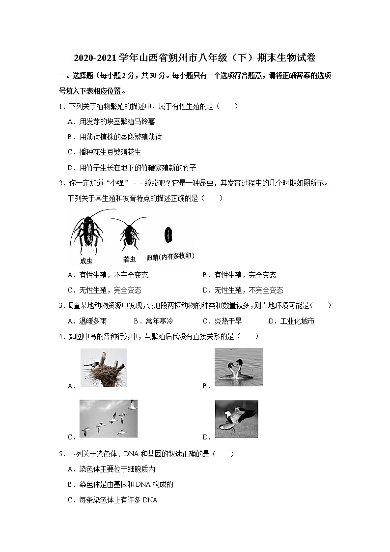 山西省朔州市2020-2021学年八年级下学期期末生物试卷(word版 含答案)01