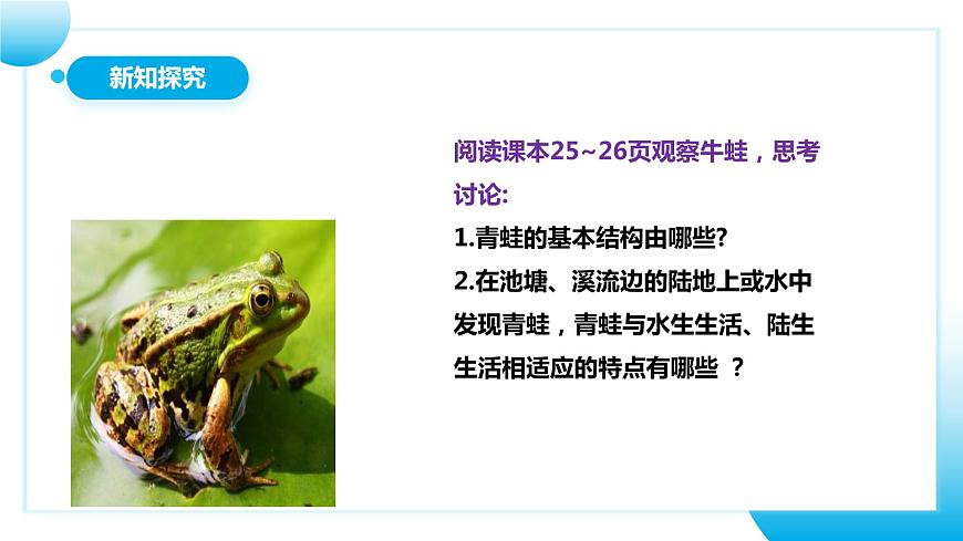 人教版初中生物八年級上冊5.1.5《兩棲動物和爬行動物》 課件第8頁