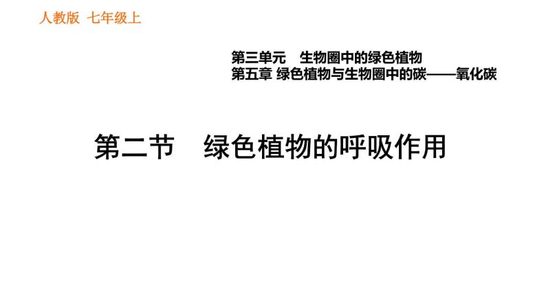 人教版七年级上册生物习题课件 第3单元 3.5.2 绿色植物的呼吸作用001