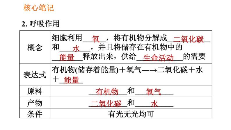 人教版七年级上册生物习题课件 第3单元 3.5.2 绿色植物的呼吸作用004