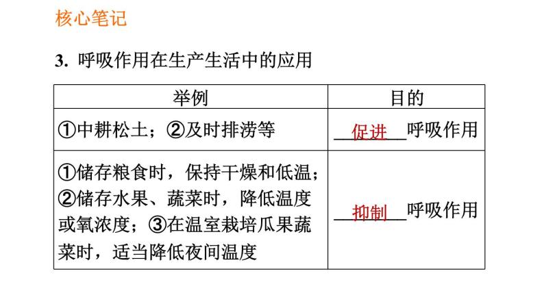 人教版七年级上册生物习题课件 第3单元 3.5.2 绿色植物的呼吸作用006