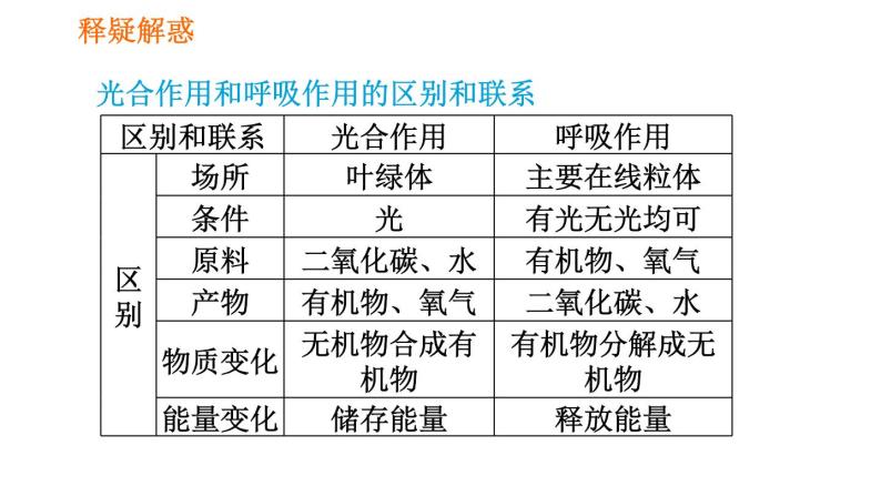 人教版七年级上册生物习题课件 第3单元 3.5.2 绿色植物的呼吸作用008