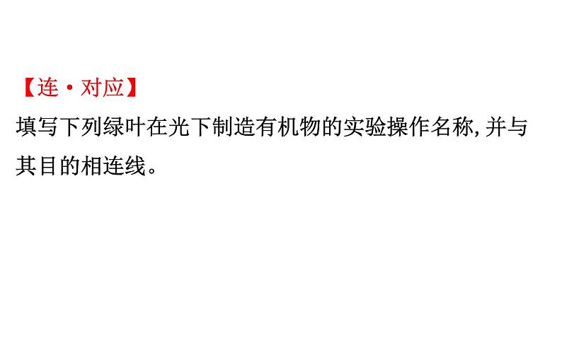 2021-2022学年人教版生物中考复习之绿色植物是生物圈中有机物的制造者 绿色植物与生物圈中的碳-氧平衡 爱护植被,绿化祖国课件PPT第4页