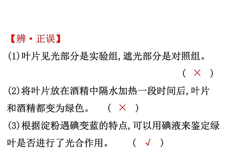 2021-2022学年人教版生物中考复习之绿色植物是生物圈中有机物的制造者 绿色植物与生物圈中的碳-氧平衡 爱护植被,绿化祖国课件PPT第6页