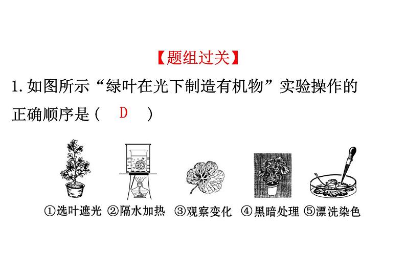 2021-2022学年人教版生物中考复习之绿色植物是生物圈中有机物的制造者 绿色植物与生物圈中的碳-氧平衡 爱护植被,绿化祖国课件PPT第7页