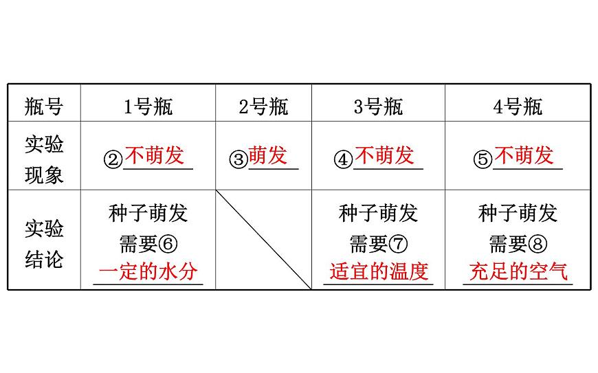 2021-2022學(xué)年人教版生物中考復(fù)習(xí)之被子植物的一生課件PPT第3頁(yè)