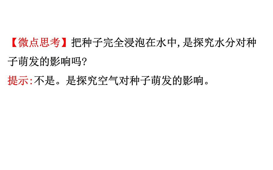 2021-2022學(xué)年人教版生物中考復(fù)習(xí)之被子植物的一生課件PPT第4頁(yè)