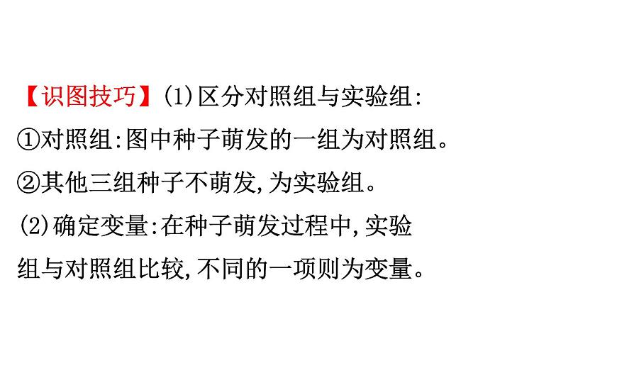 2021-2022學(xué)年人教版生物中考復(fù)習(xí)之被子植物的一生課件PPT第6頁(yè)
