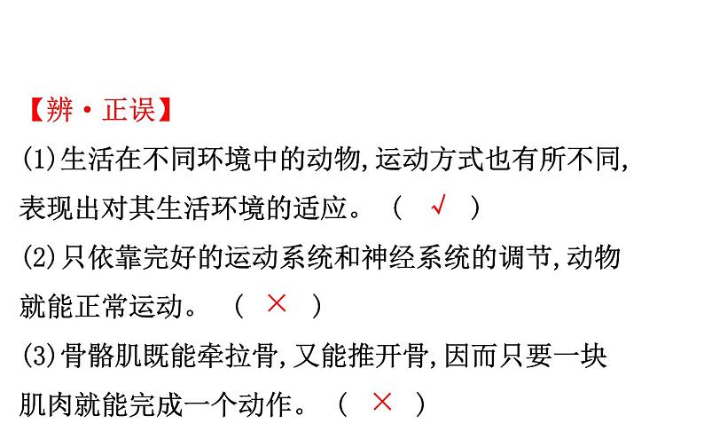 2021-2022学年人教版生物中考复习之动物的运动和行为&5.3动物在生物圈中的作用课件PPT第7页