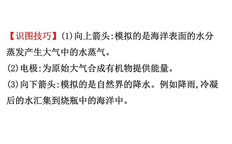 2021-2022学年人教版生物中考复习之生命起源和生物进化课件PPT第5页