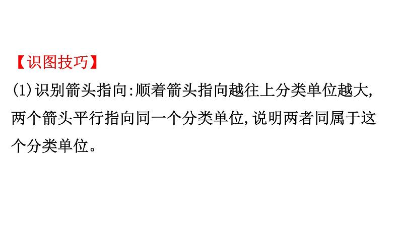 2021-2022学年人教版生物中考复习之生物的多样性及其保护课件PPT第6页