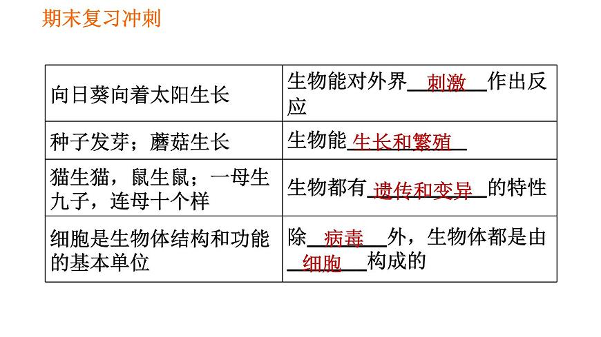 人教版七年級(jí)上冊(cè)生物習(xí)題課件 期末復(fù)習(xí) 第一單元 生物和生物圈第3頁