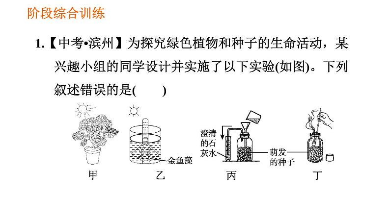 人教版七年级上册生物习题课件 第3单元 阶段综合训练 绿色植物的生理作用第3页