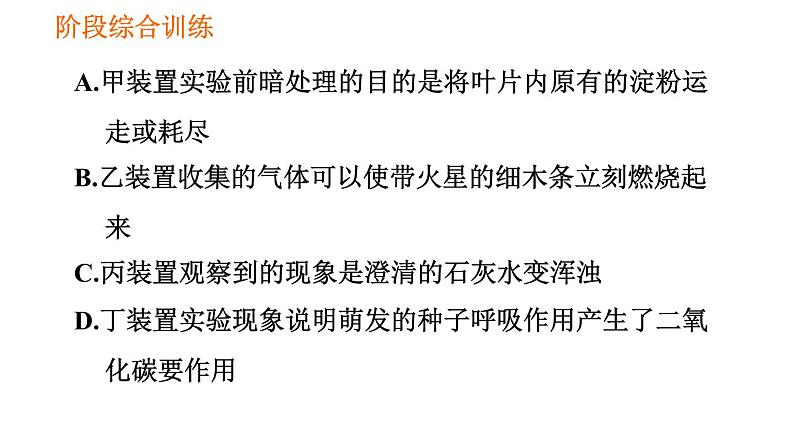 人教版七年级上册生物习题课件 第3单元 阶段综合训练 绿色植物的生理作用第4页