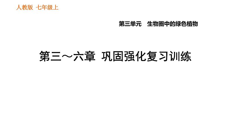 人教版七年级上册生物习题课件 第3单元 第三~六章巩固强化复习训练第1页