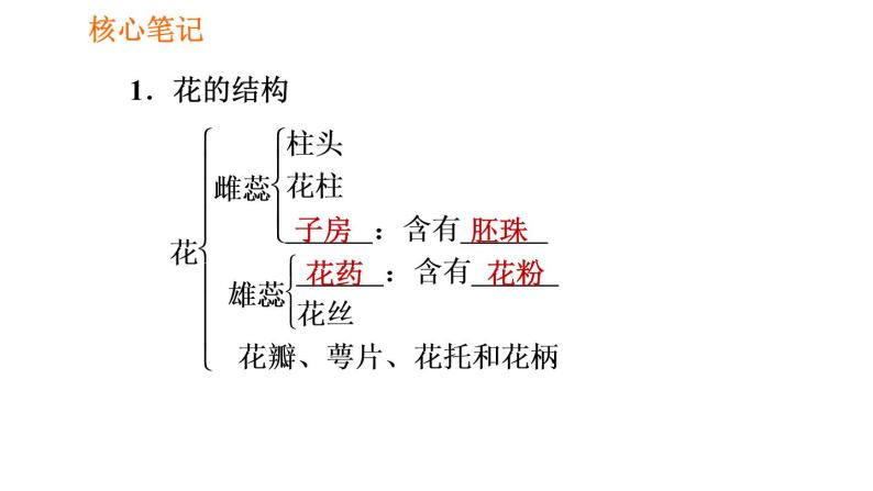 人教版七年级上册生物 第3单元 习题课件 002