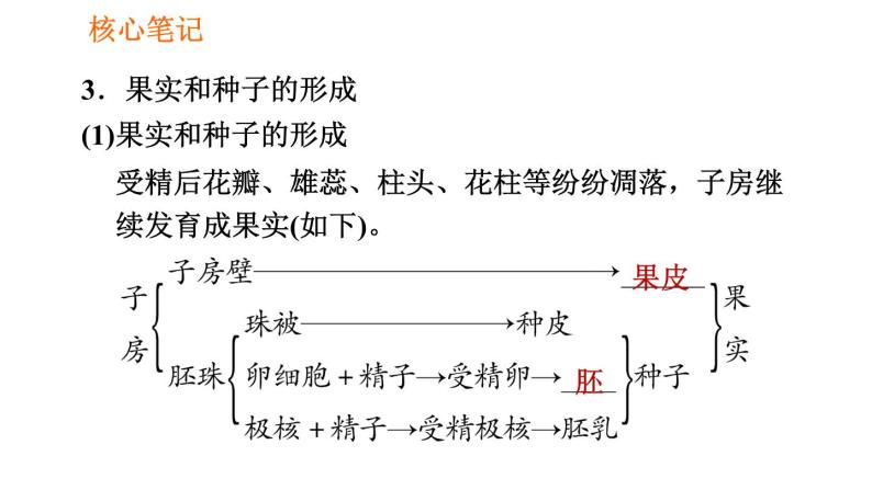 人教版七年级上册生物 第3单元 习题课件 006