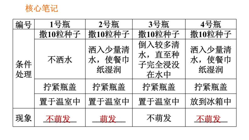 人教版七年级上册生物 第3单元 习题课件 003