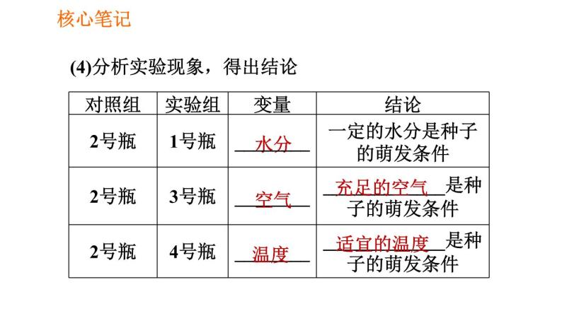 人教版七年级上册生物 第3单元 习题课件 004