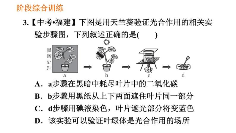 人教版七年级上册生物 第3单元 习题课件 006