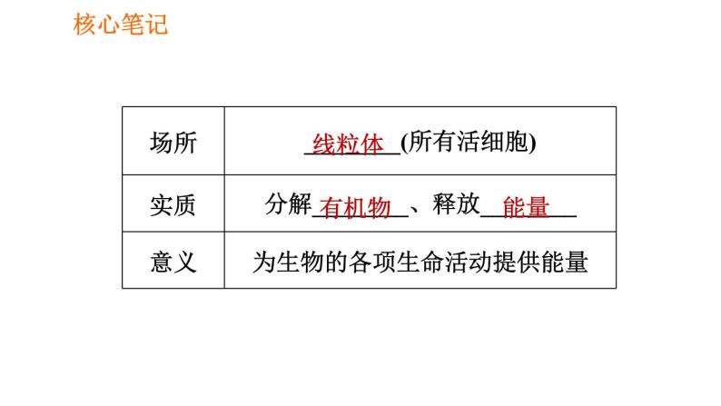 人教版七年级上册生物 第3单元 习题课件 005