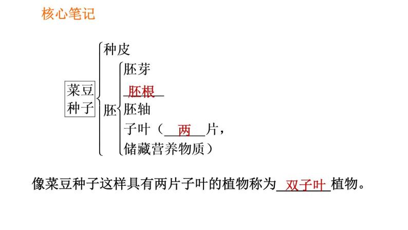 人教版七年级上册生物 第3单元 习题课件 004