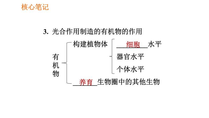 人教版七年级上册生物 第3单元 习题课件 007