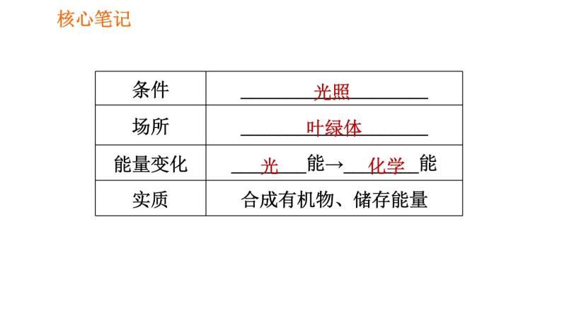 人教版七年级上册生物 第3单元 习题课件 006