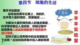 2021——2022学年人教版七年级生物上册2.1.4 细胞的生活课件