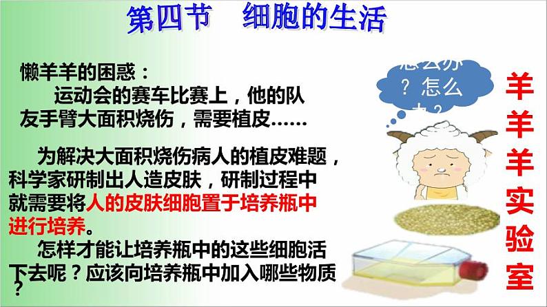 2021——2022学年人教版七年级生物上册2.1.4 细胞的生活课件第1页
