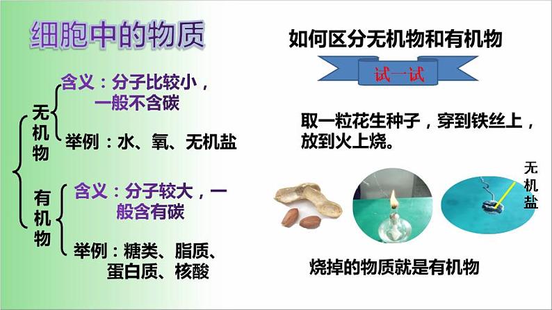 2021——2022学年人教版七年级生物上册2.1.4 细胞的生活课件第4页