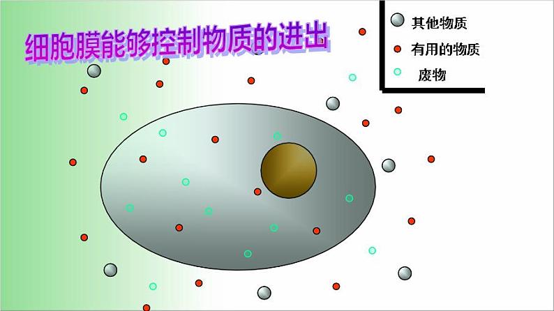 2021——2022学年人教版七年级生物上册2.1.4 细胞的生活课件第6页