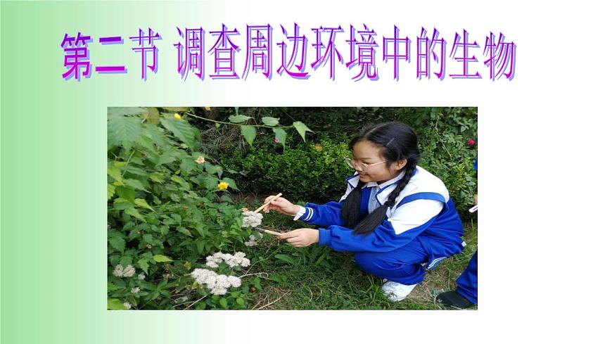 2021——2022學(xué)年人教版七年級(jí)生物上冊(cè)1.1.2 調(diào)查周邊環(huán)境中的生物 課件第1頁(yè)