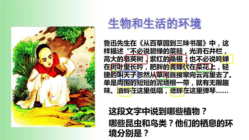 2021——2022學(xué)年人教版七年級(jí)生物上冊(cè)1.1.2 調(diào)查周邊環(huán)境中的生物 課件第2頁(yè)