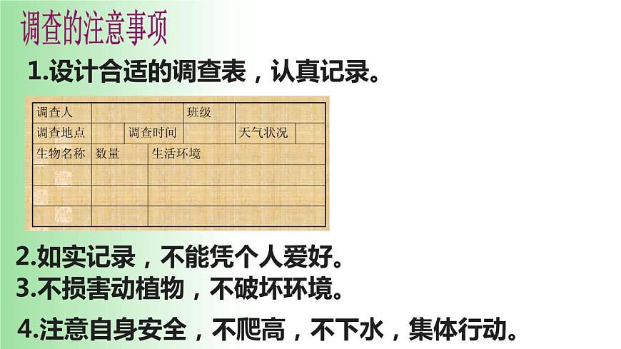 2021——2022學(xué)年人教版七年級(jí)生物上冊(cè)1.1.2 調(diào)查周邊環(huán)境中的生物 課件第7頁(yè)